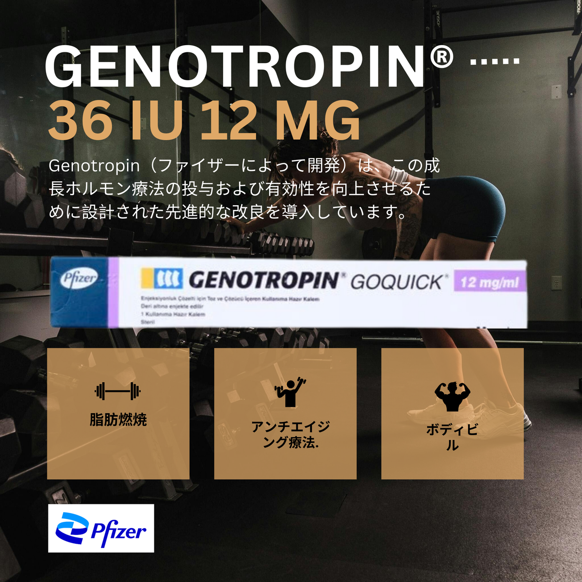 HGH Japan